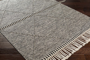 Spottswood Area Rug - Clearance