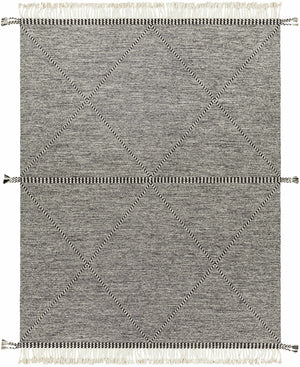 Spottswood Area Rug - Clearance