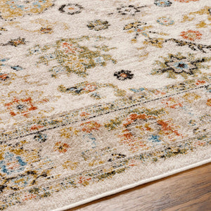 Darda Brown Area Rug - Clearance