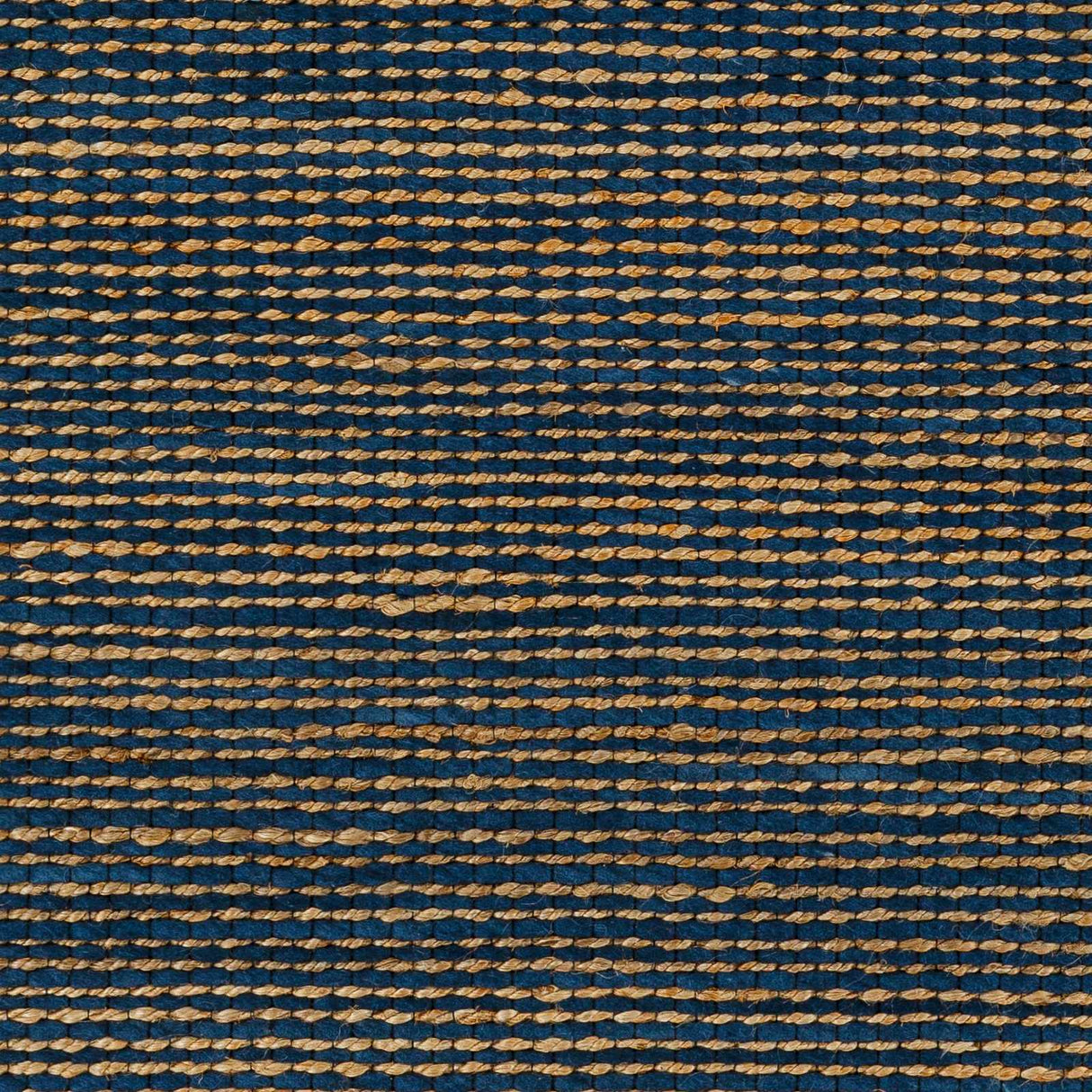 Riki Navy Area Rug