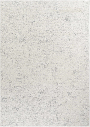 Isako Gray Solid Washable Area Rug - Clearance