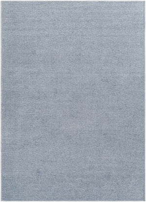 Isako Blue & Gray Solid Washable Area Rug - Clearance