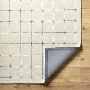 Sanvi Tan Area Rug