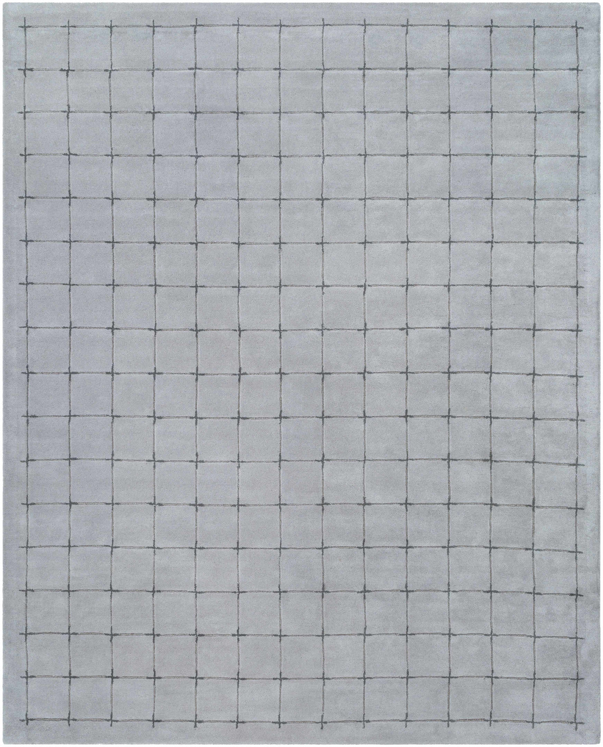 Sanvi Gray Area Rug