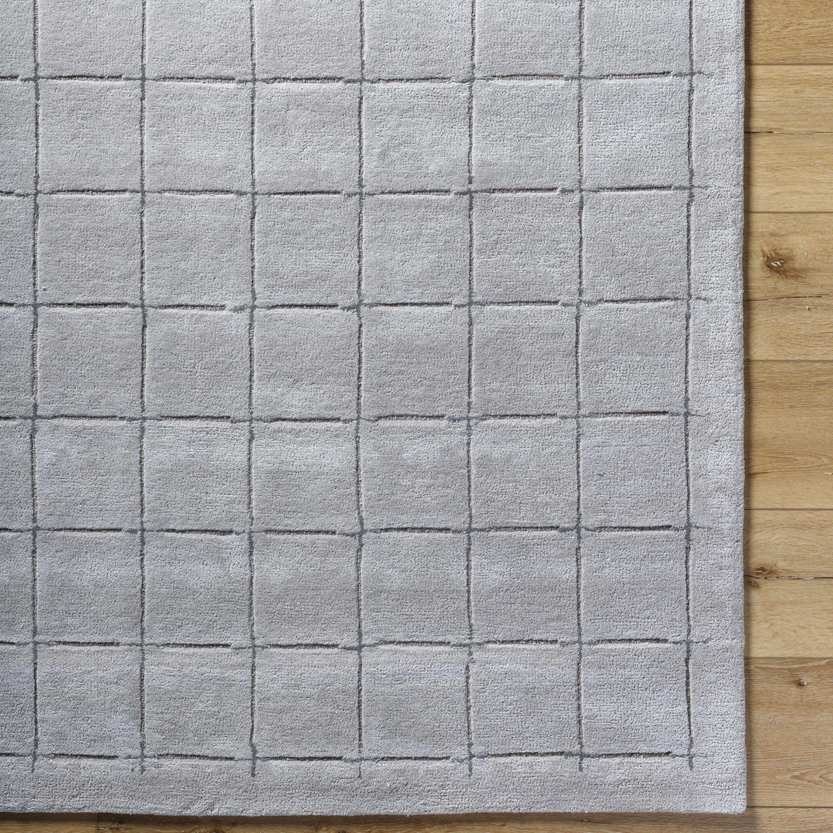 Sanvi Gray Area Rug