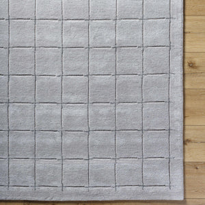 Sanvi Gray Area Rug
