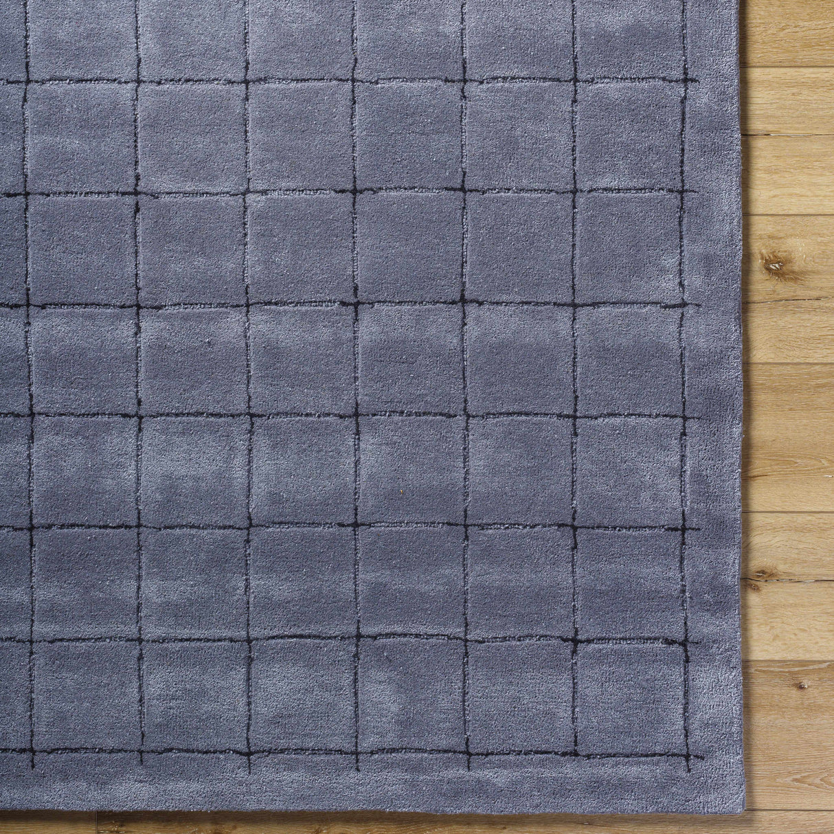 Sanvi Charcoal Area Rug