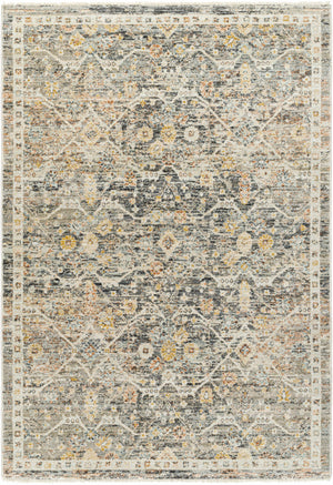 Issay Area Rug - Clearance