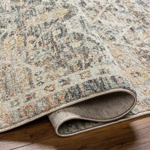 Issay Area Rug - Clearance