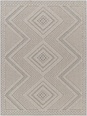Aimee Natural Gray Area Rug - Clearance