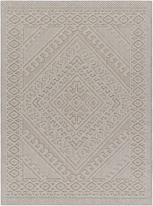 Hibah Natural Gray Area Rug - Clearance