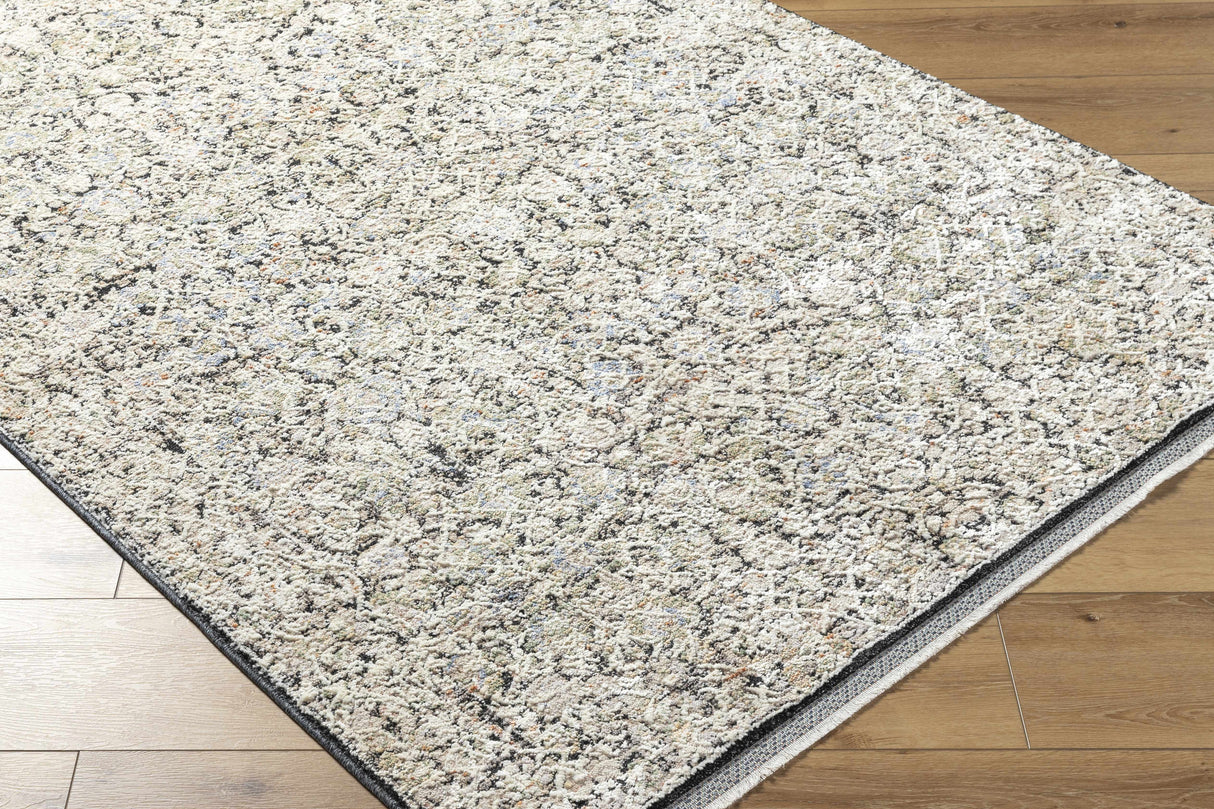 Haran Cloud Gray Area Rug