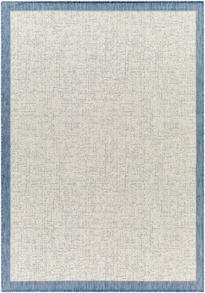 Demas Blue & Cream Area Rug - Clearance