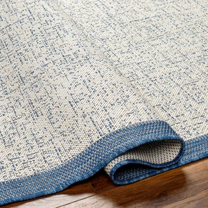 Demas Blue & Cream Area Rug - Clearance