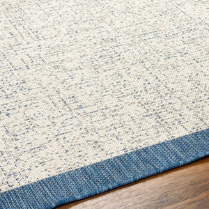 Demas Blue & Cream Area Rug - Clearance