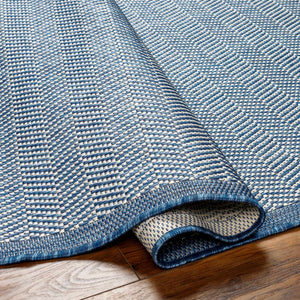 Genet Blue Area Rug - Clearance