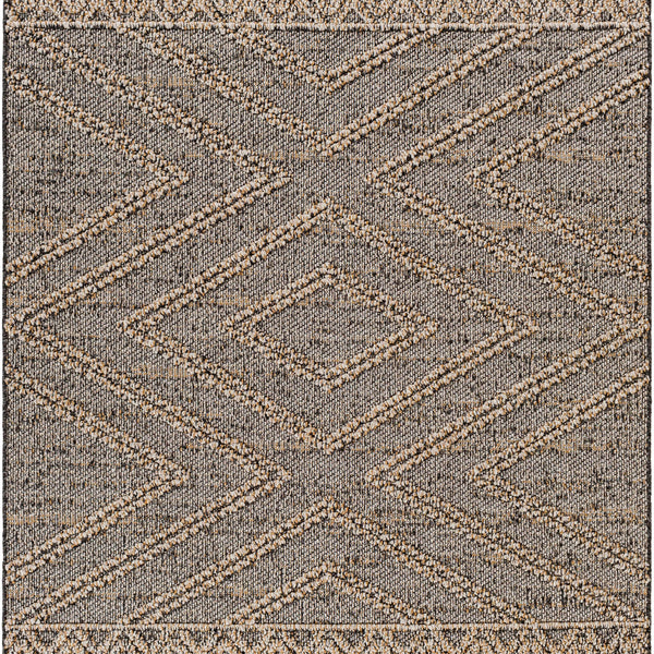 Beige Charcoal Areli Area Rug