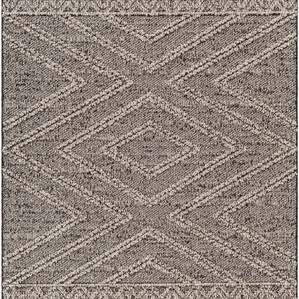 Areli Beige / Brown Outdoor Rug