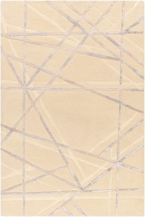 Amjad Area Rug - Clearance