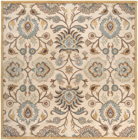 Conesus Hand Tufted Tan 1012 Area Rug