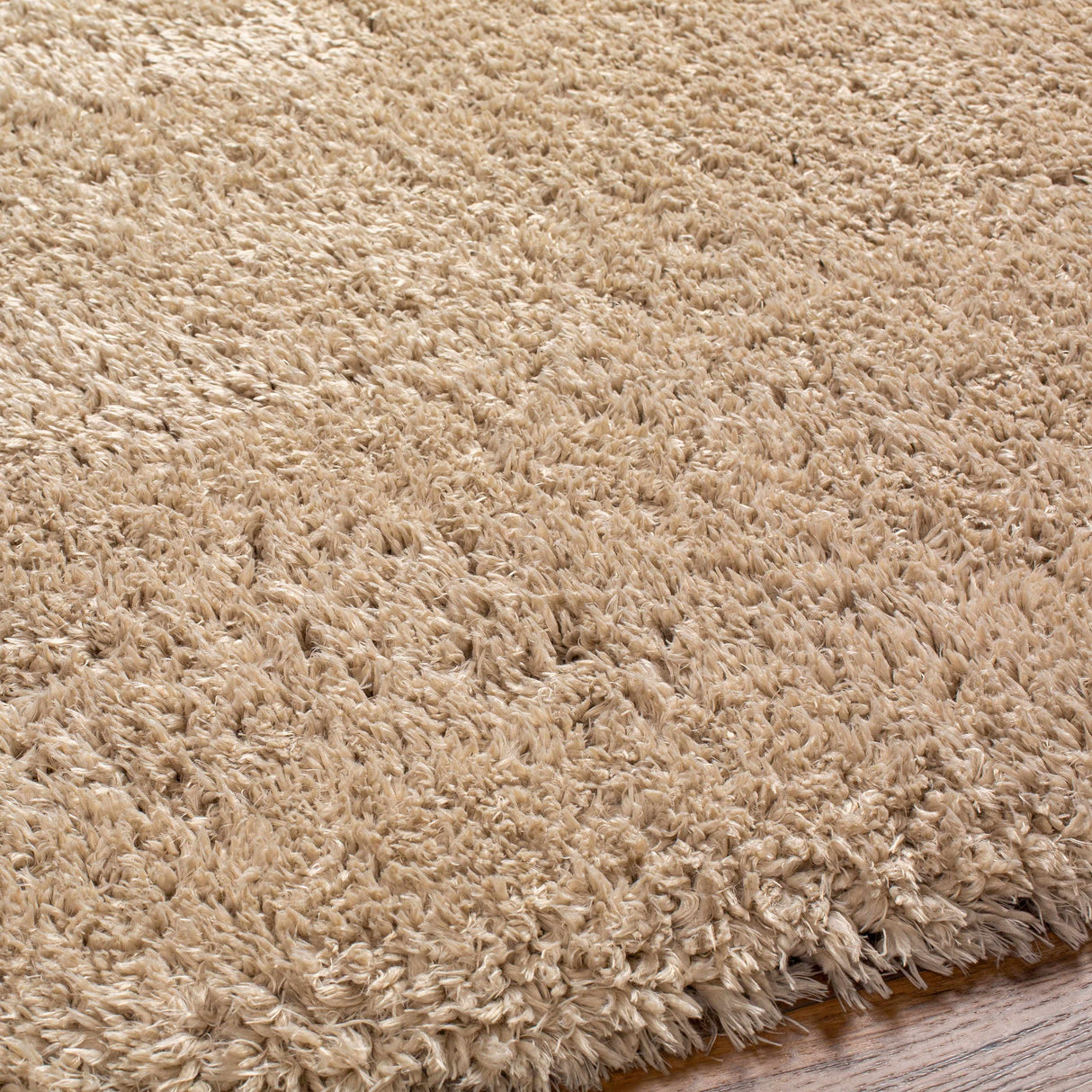 Beige Allon Area Rug - Clearance