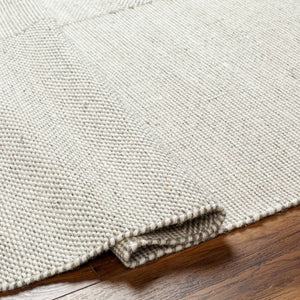 Abhay Beige Wool Area Rug - Clearance