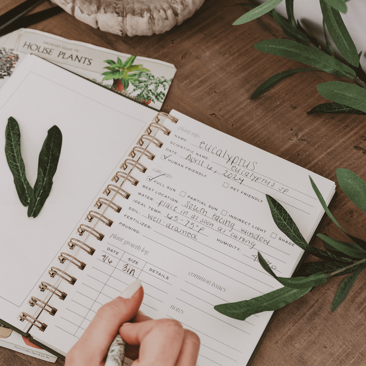 Plant Journal | Sweet Water Decor