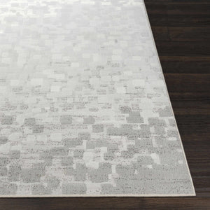 Tams Area Rug - Clearance