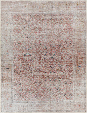Tapia Washable Area Rug - Clearance