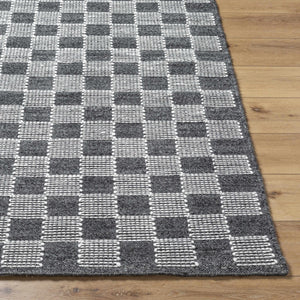Thijs Area Rug