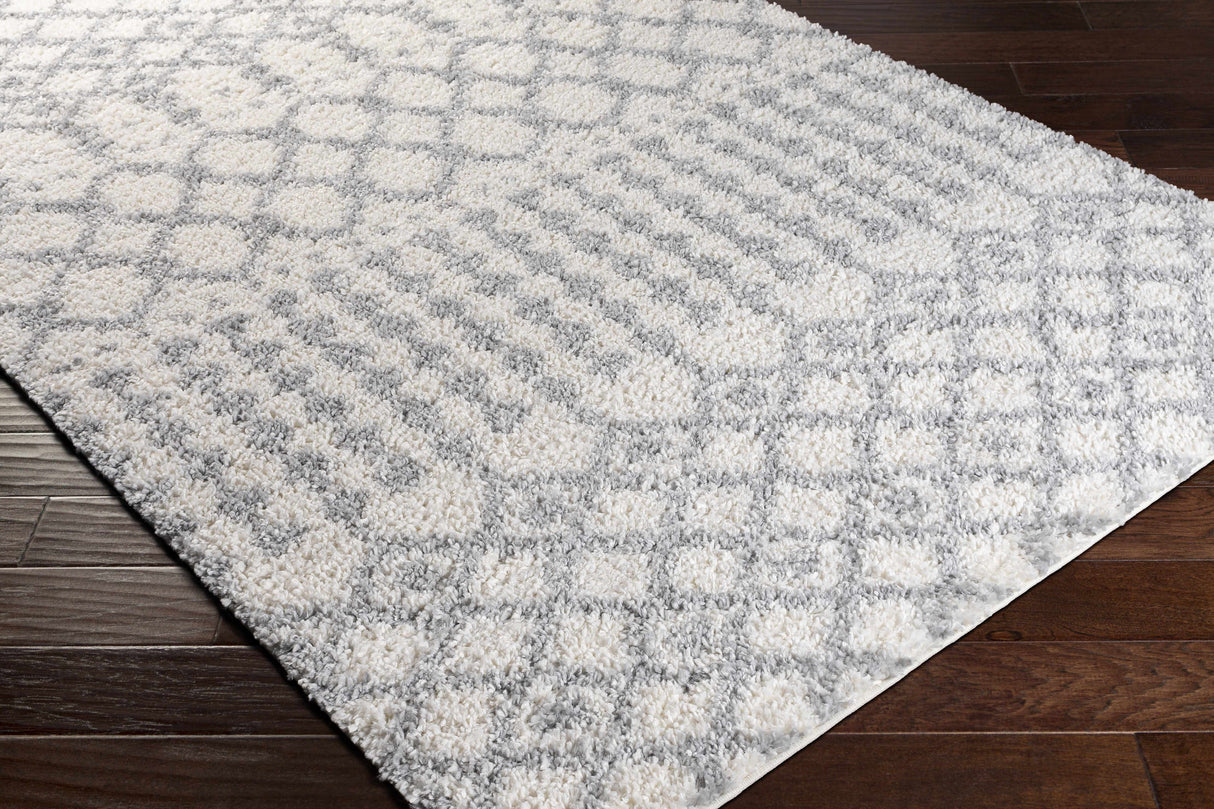 Teheran  Area Rug - Clearance