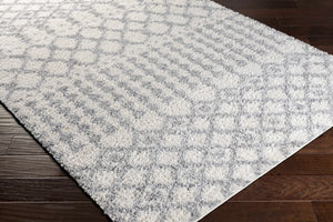 Teheran  Area Rug - Clearance