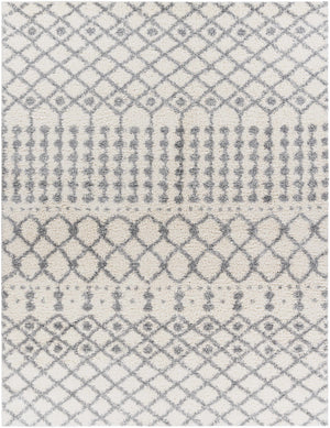 Teheran  Area Rug - Clearance