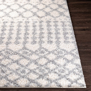 Teheran  Area Rug - Clearance