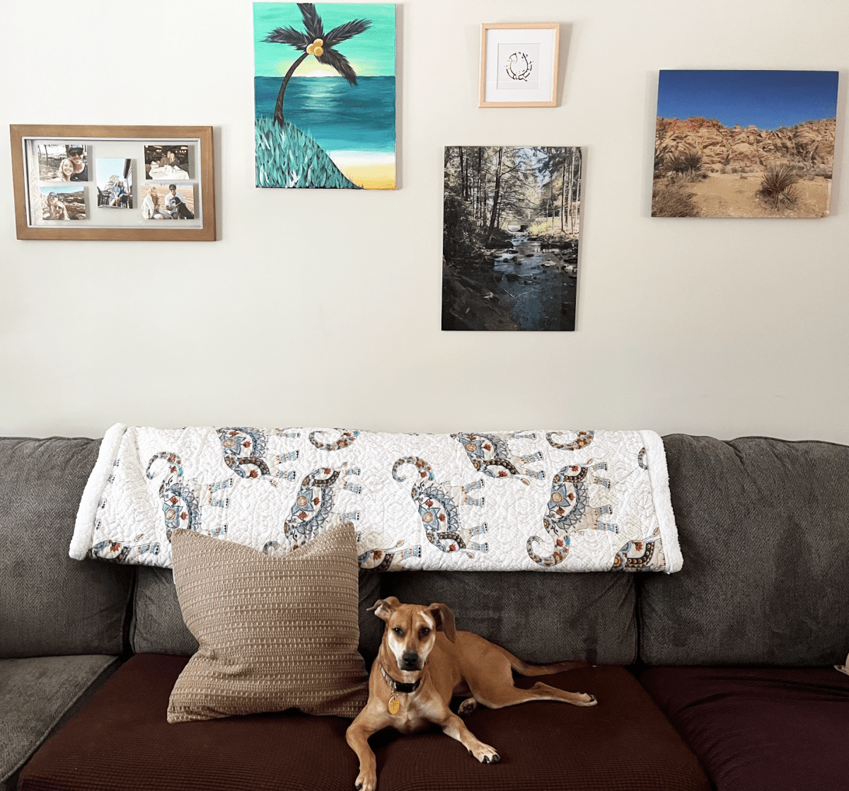 Hati Elephants Sherpa Throw