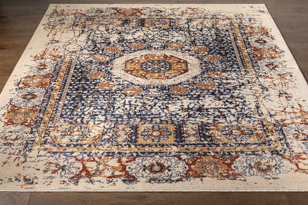 Timnath Clearance Rug - Clearance