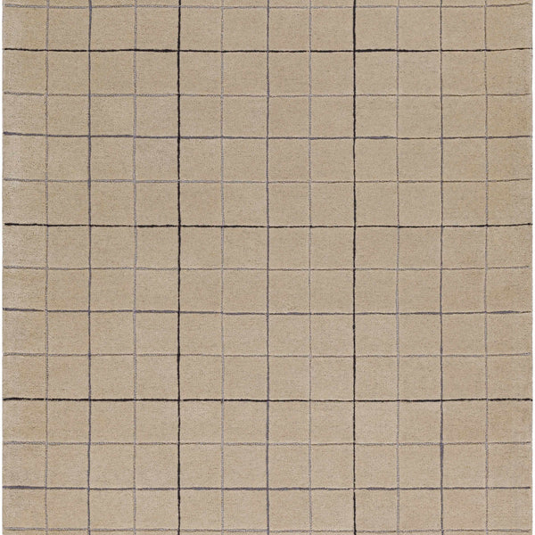 Toshi Beige Area Rug