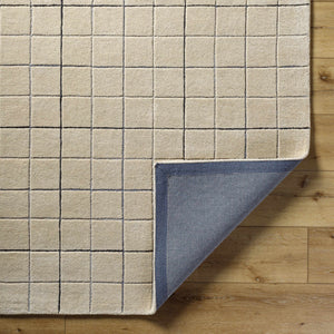 Toshi Beige Area Rug