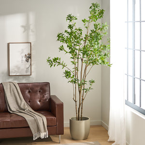 240cm Artificial Pieris Tree
