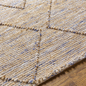 Buse Hand Woven Beige & Blue Area Rug - Clearance