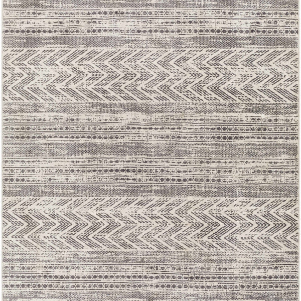 Tuy Area Rug