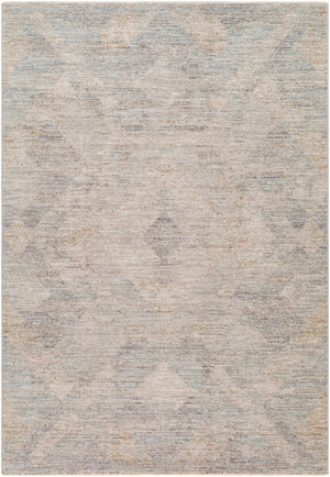 Urmi Area Rug - Clearance