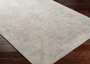 Urmi Area Rug - Clearance