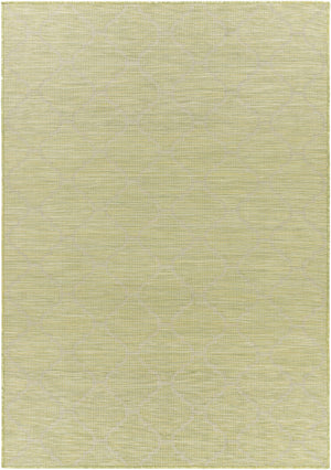 Unique Outdoor Trellis Area Rug, Olive Green - Clearance