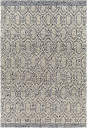 Vahe Area Rug - Clearance