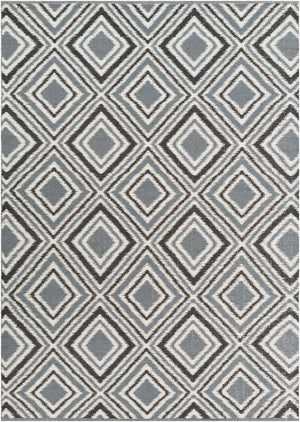 Vernal Area Rug - Clearance