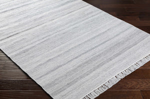 Villasis Area Rug - Clearance