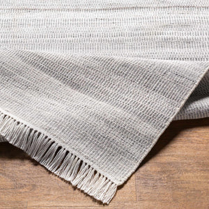 Villasis Area Rug - Clearance