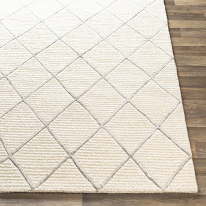 Vermilion Area Rug - Clearance