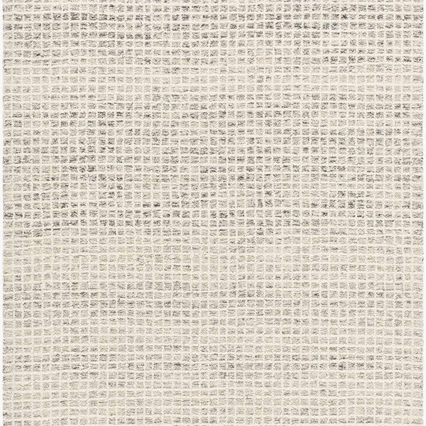 Anahid Beige Area Rug